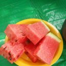 구수리 낚시터 이미지