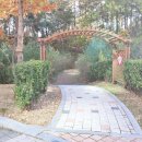 중흥1공인중개사사무소 이미지