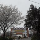 오산-청학-청학-6 이미지