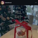 기산피드 이미지