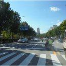 희망로(도촌사거리~대원터널사거리) | 웰빙뉴스 성남시 6억6000만원 들여 낡은 차선 도색…46㎞ 구간