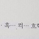 씨나인 이미지