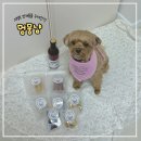 멍뭉냠 | [멍뭉냠]의정부 반려동물 수제간식 전문점 / 민락동 강아지간식