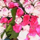 환상노래연습장 이미지