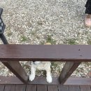 마망펜션 이미지