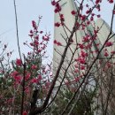 토지박사공인중개사사무소 이미지