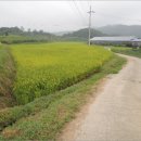 화순군 법원 앞 이미지