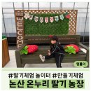 대신농장 | 논산 │온누리딸기농장 아이랑 함께 다녀온 실제 후기