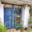 불은초등학교 | 오늘의여행_에어비앤비숙소_순숨_인천강화도