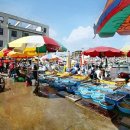 어촌목장 이미지