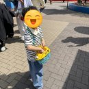 라엘코리아 | 일본 나고야 여행 레고랜드 재팬 방문 후기