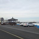 여흥도시계펜션 민박 | [제주여행] 제주 동쪽 4인 숙소 독채 전통가옥 빈 하루 (feat. 하나로마트 추천 제품)