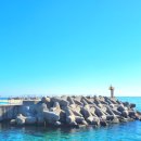 롯데렌터카 | 강원도 강릉 여행 강릉역 렌트카 추천 롯데렌터카 G카 체험후기