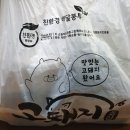 고돼지고양