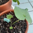 프럼스마일 이미지