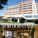 싸이버당구장 | 서울근교나들이 양평 대명리조트 1박2일 여행, 빠띠오레스토랑