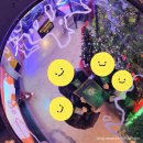 무전2길 | 방탈출(홍대 지구별 라스트시티 - 멸종위기종 탐사대, 멸탐대)