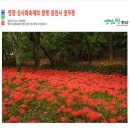 (유)한마음고속관광