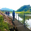 달천제방길 이미지