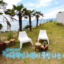 야자수 풀빌라 이미지