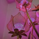 차성남로65번길 | 부산점집 선택 전 필독, 후회 없는 방문을 위한 3가지 기준