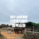 농막목장 | 제주 아이랑 승마체험 추천 신창풍차해안행복승마 6살아이 내돈내산 체험후기