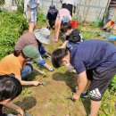 대명초등학교2 이미지