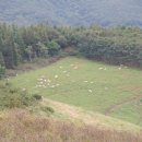 안흥목장 이미지