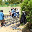 문장초교 이미지