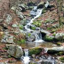 지리산 일기,노고단~천은사. 이미지