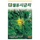 씨앗