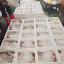 거성수산 이미지