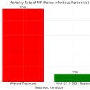 주안동물병원 이미지