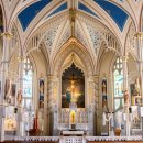 가톨릭병원 이미지