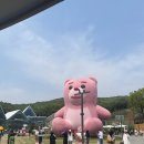 곰휴게실 - 진도군 남문길 38 | 곰휴게실