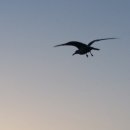 조은펜션 이미지