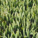 효소발효와 건강식이 이미지