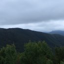 배내배내 이미지