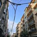 중원-113 이미지