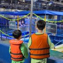 여수엔 | 여수 아쿠아플라넷 아쿠아리움 가격 할인 입장료 상어 벨루가 보트 체험 후기