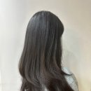 조앤리헤어 네이버블로그
