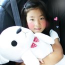 씨티에프 이미지