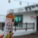 보목동마을회