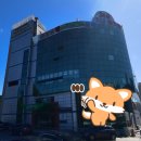 웰스포사우나 이미지