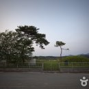 곡성-222 이미지