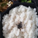 싸움의고수안산