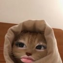 마무