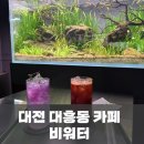[대전/중구] 비워터: 대전 이색 카페 대흥동 데이트 코스 수족관 카페 아쿠아갤러리