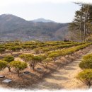 자연장지 이미지