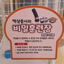 아 그 이발소 | 파주 운정 키즈 카페 추천, 브레드이발소 키즈카페에서 신나게 놀고 왔어요